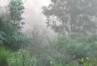 Brentwood SAlandscaping-irrigation-4.jpg; ?>